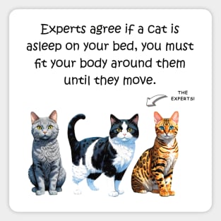 Experts agree if a cat is asleep on your bed, you must fit your body around them until they move - funny watercolour cat design Magnet